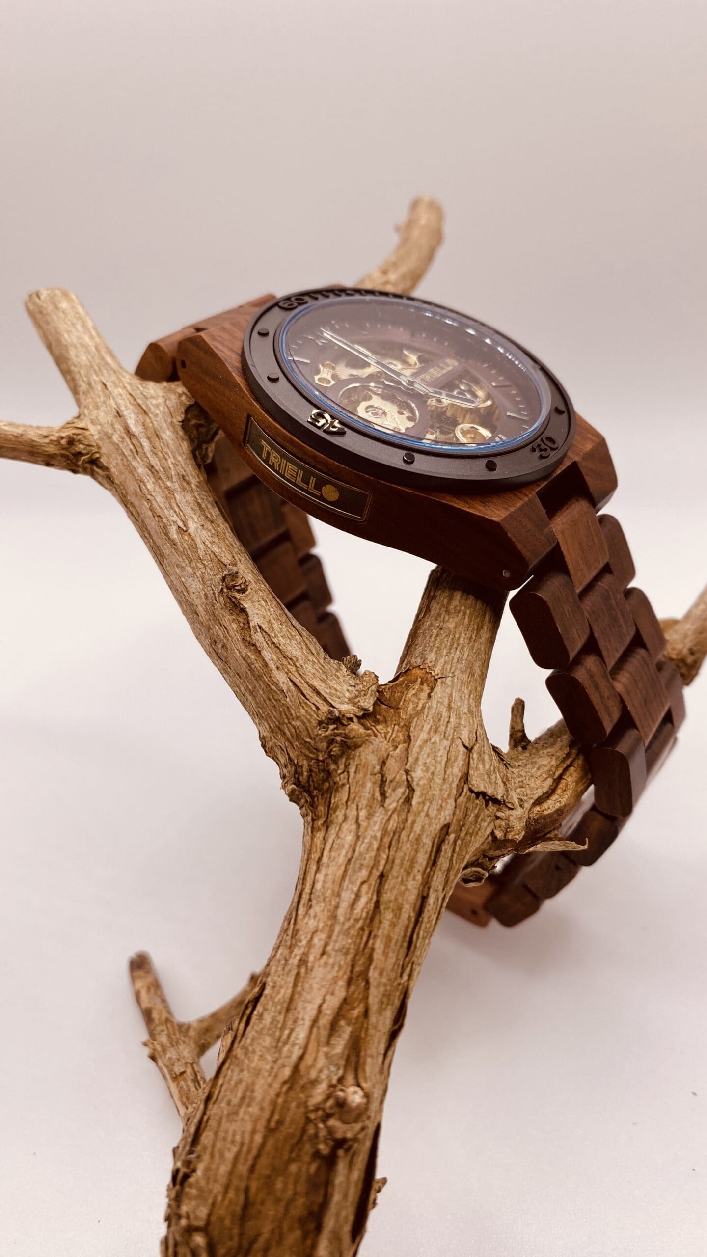 Motus 3 Oster-Bundle – Bild 4