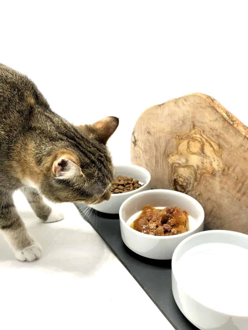 Futterstation "Cats only" TRIO MOUNTAIN aus Olivenholz – Bild 3