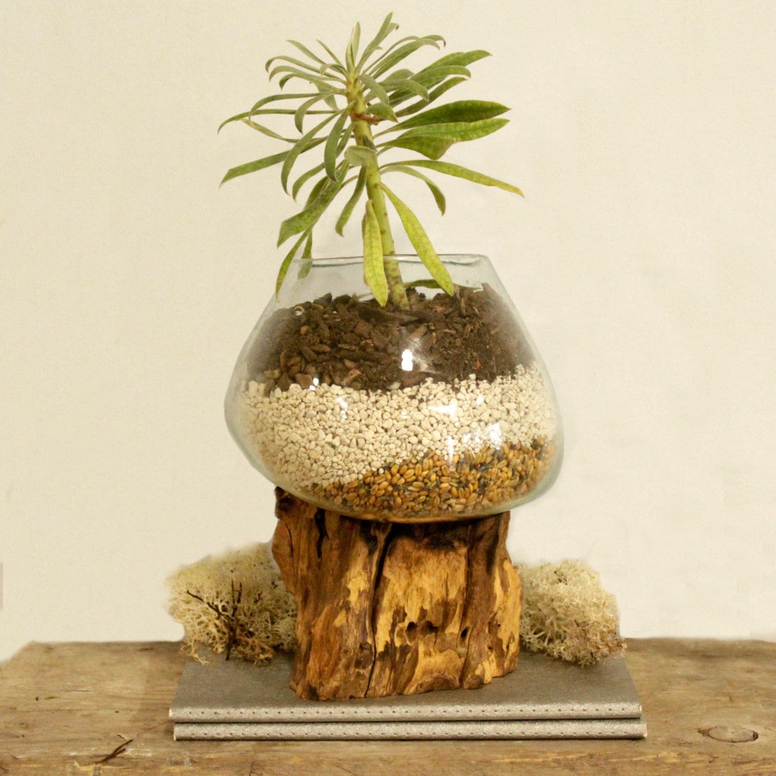 Geschmolzenes Glas auf Holz – Große Schale – Bild 6