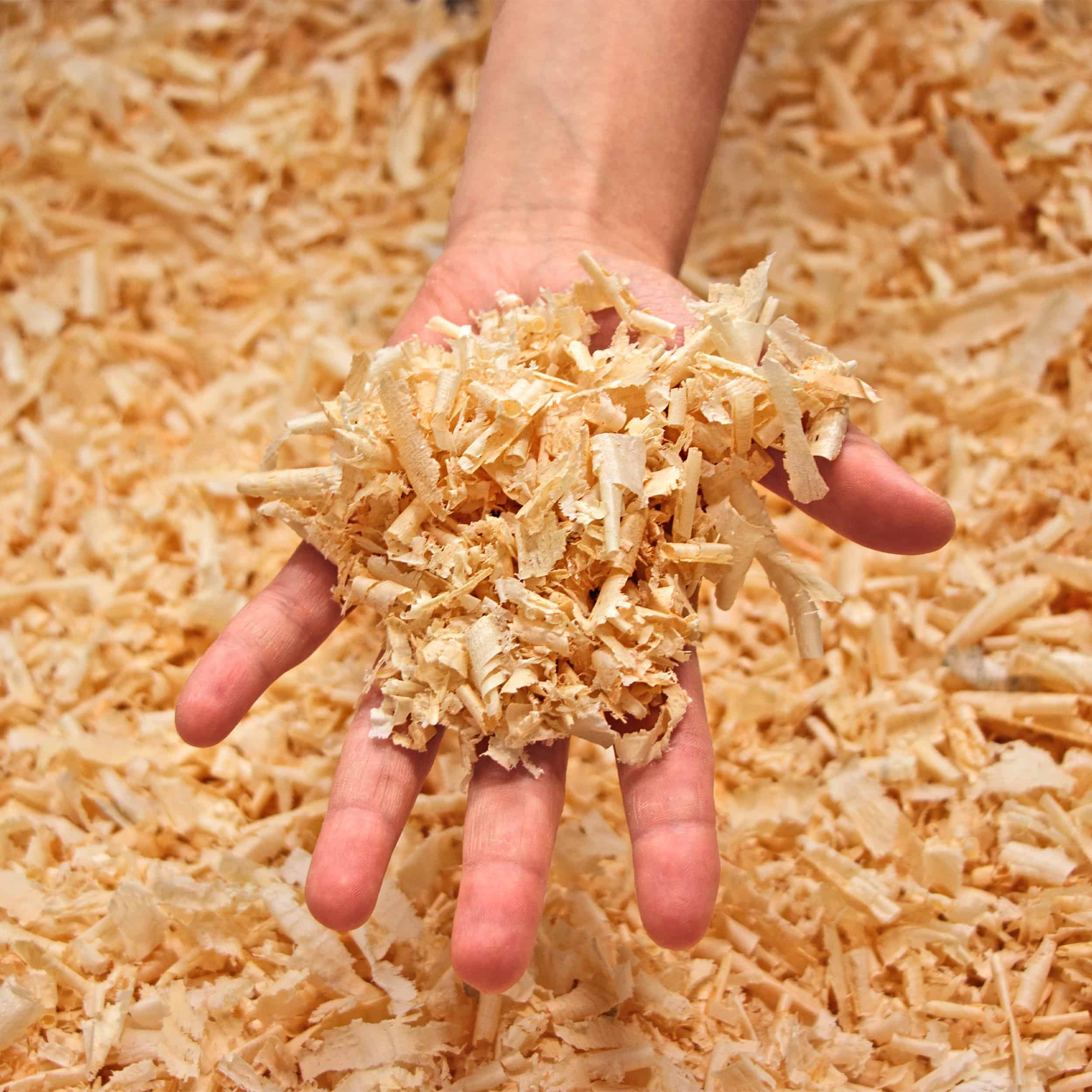 Zirbenholz Lieblingsbox Nr. 14 – Bild 4